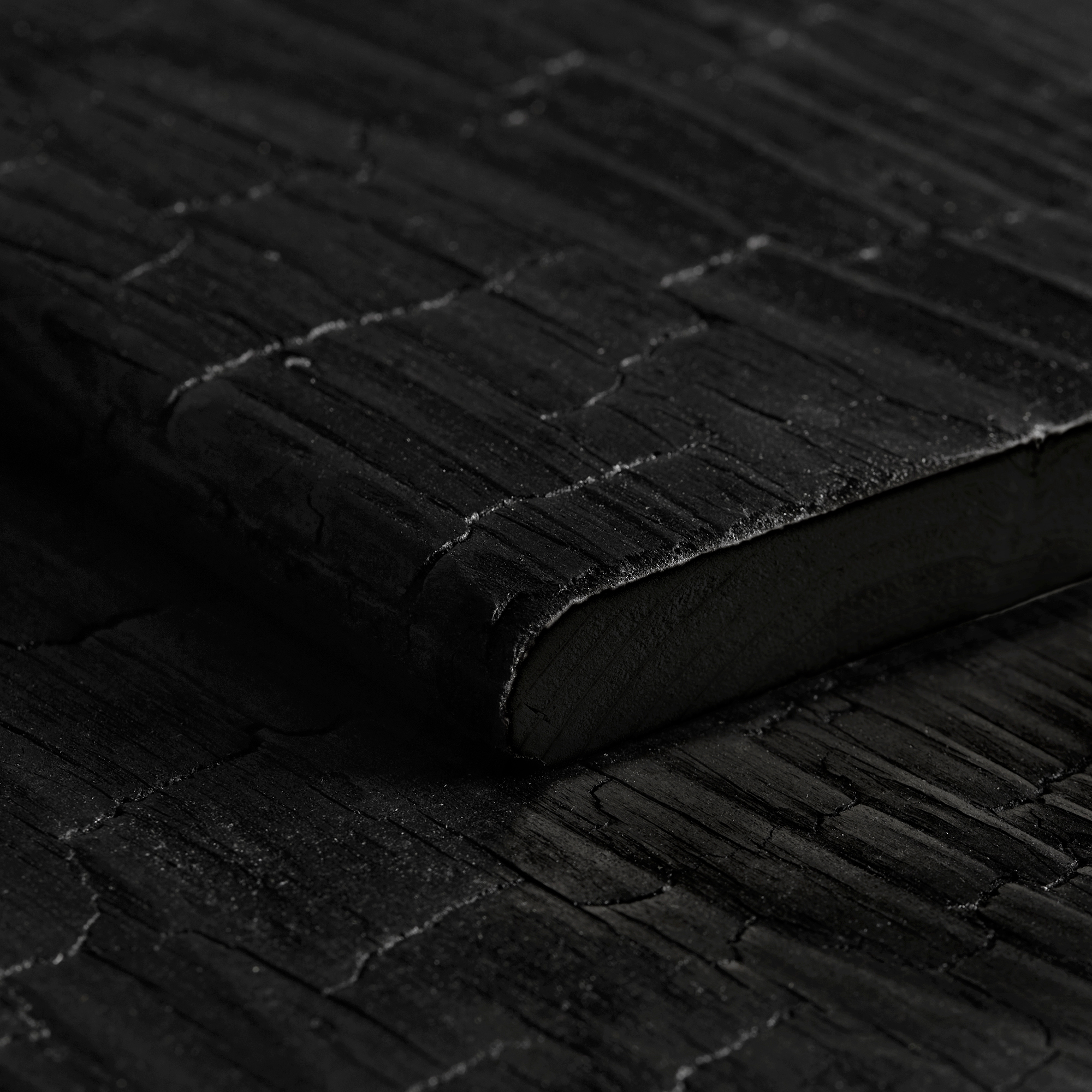 Deep Charred Scandinavian Spruce Wood 2