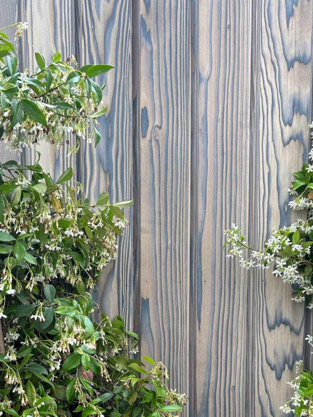 Fencing With Douglas White