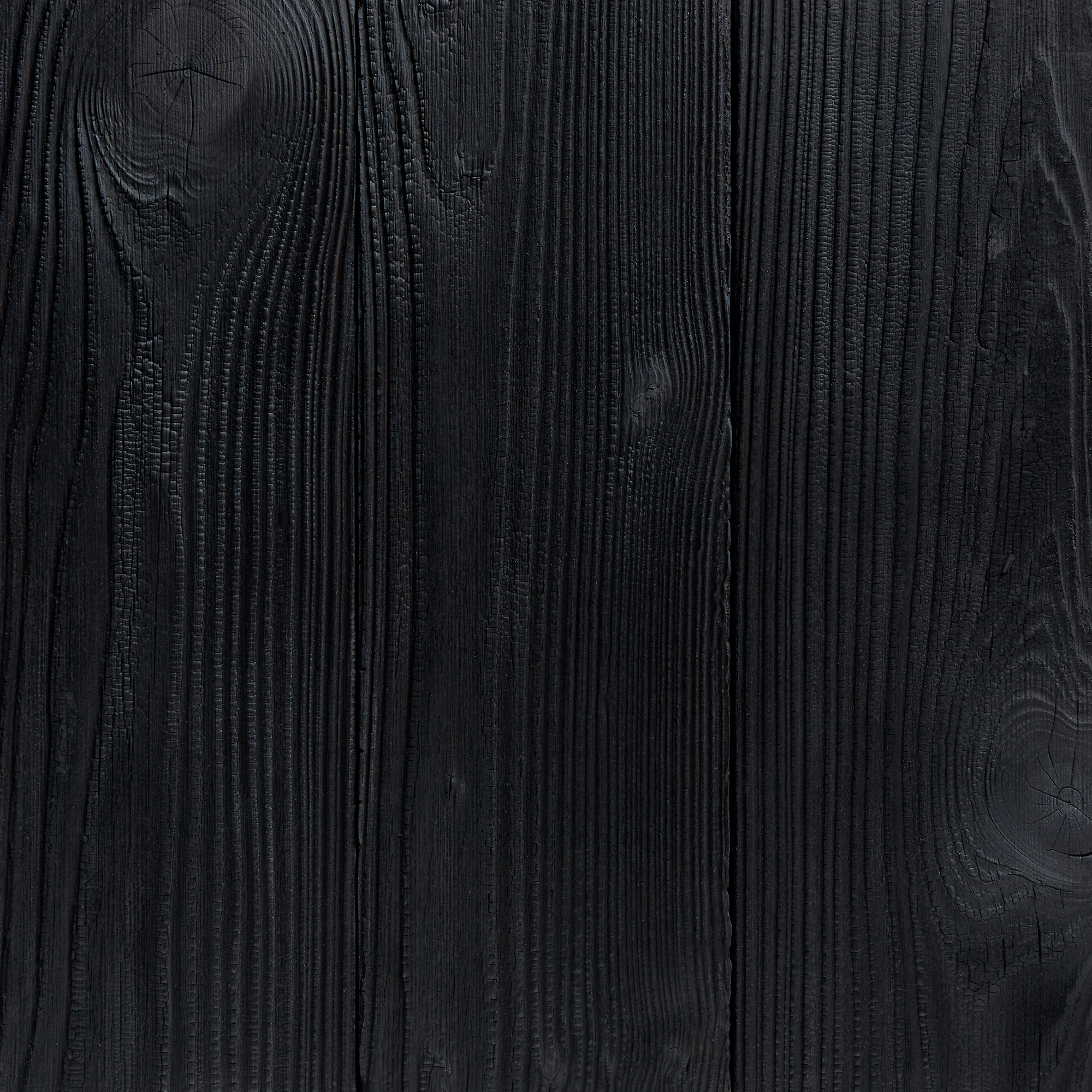Charred Douglas Fir Wood 3