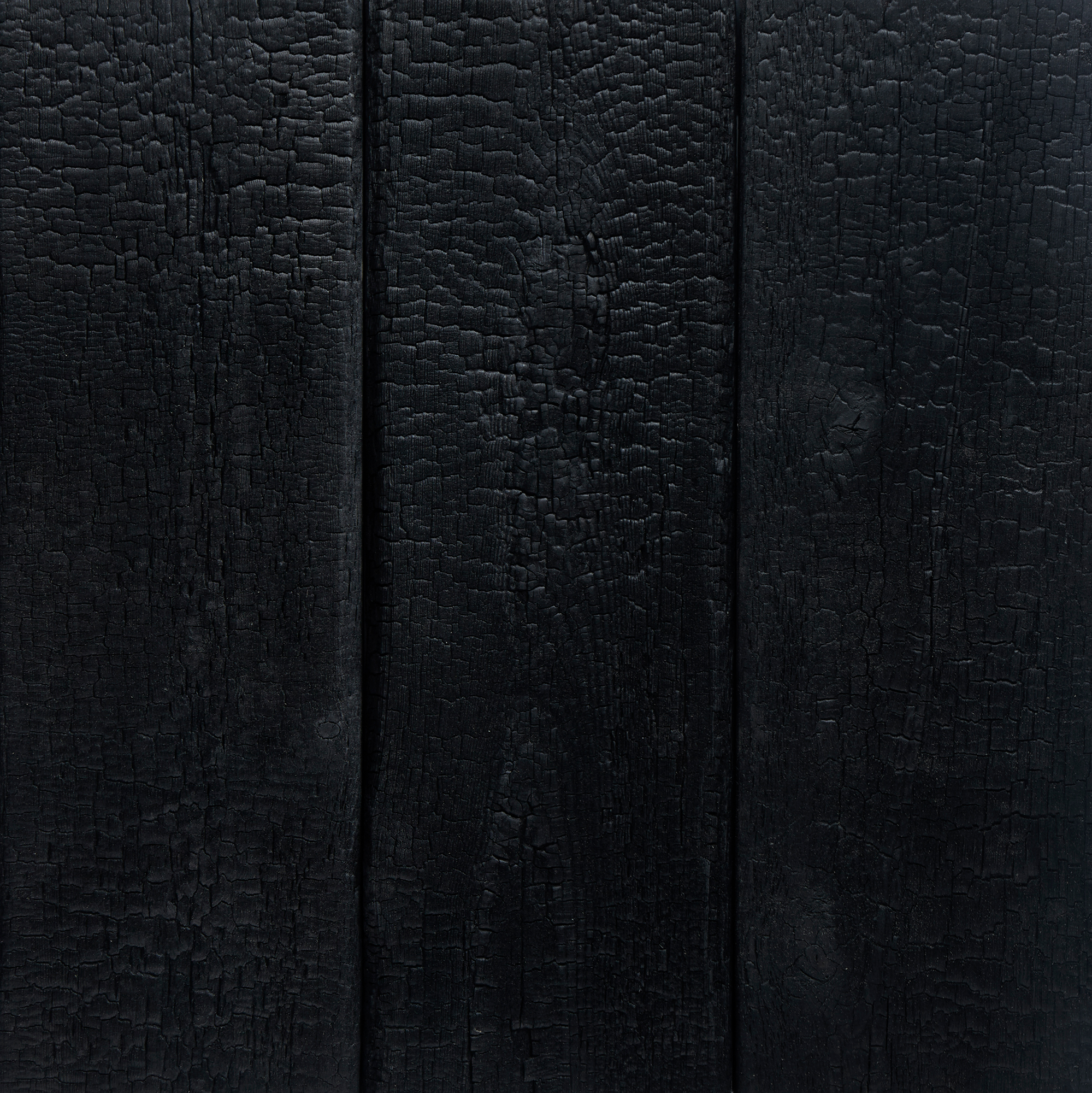 Deep Charred Siberian Larch Wood 3