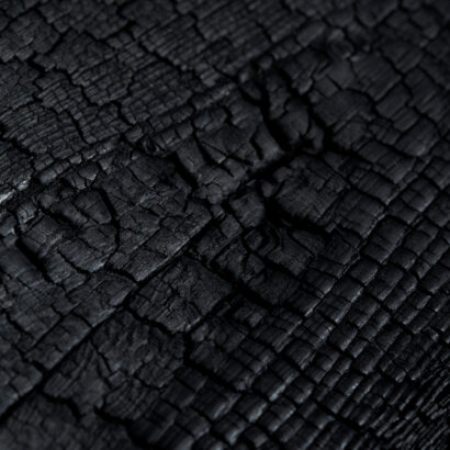 Deep Charred Siberian Larch Wood